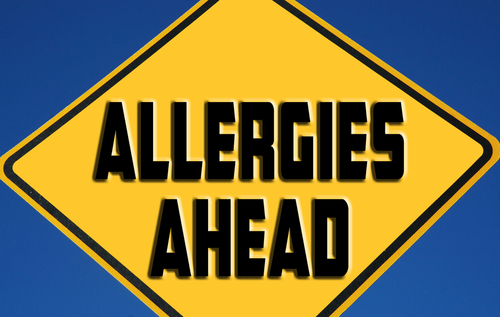 6 Tips to Reduce Allergies This Spring - Indoor Air Quality, Inc.