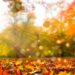 Fall and Spring Heat Pump Maintenance Tips