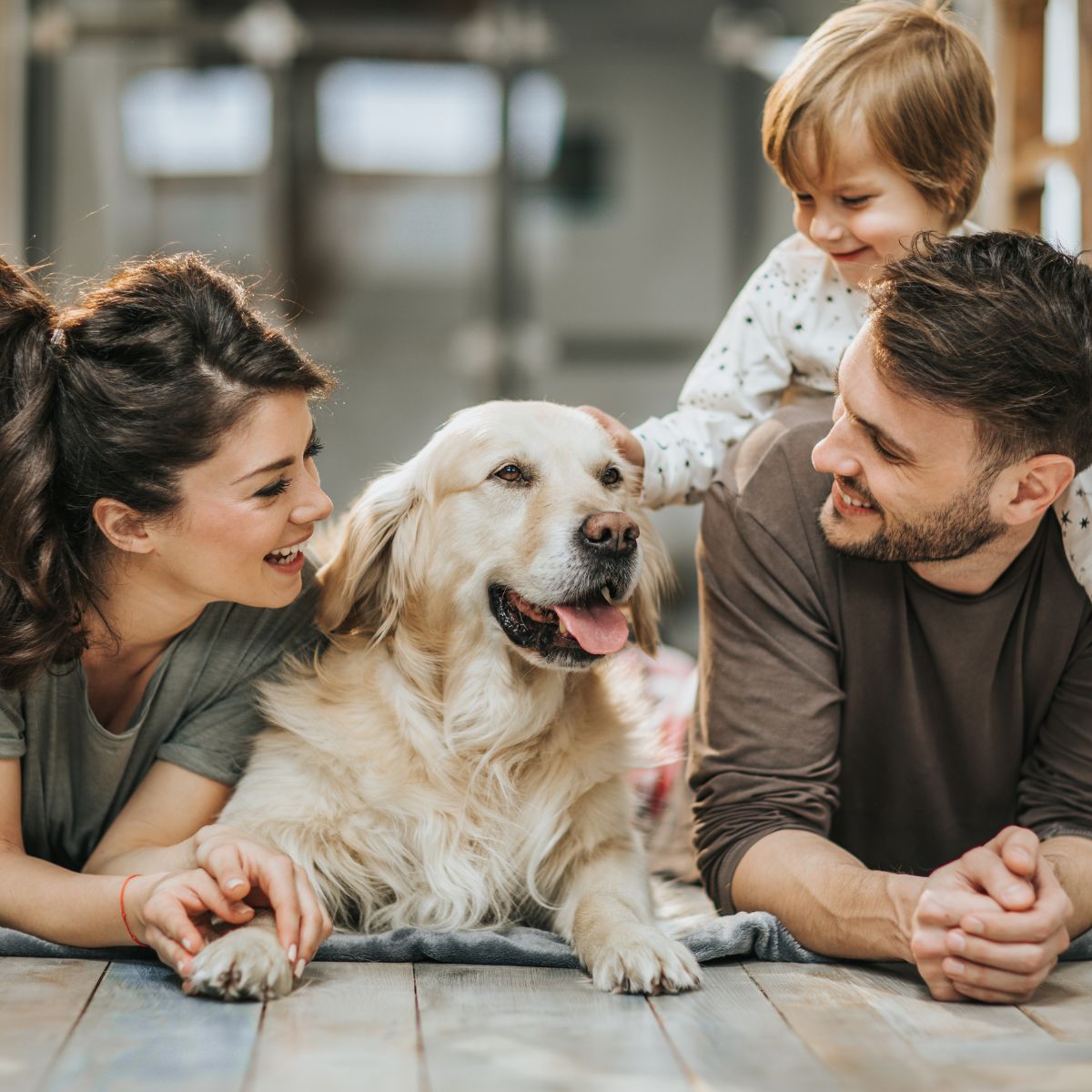 Considering an air cleaner for your home in South Denver